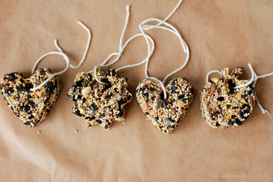DIY Bird Seed Feeders