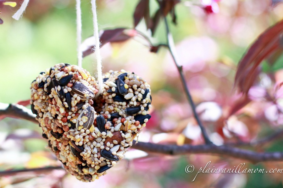 heart shaped bird seed feeder