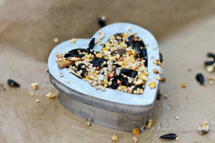 heart shaped birdseed feeder