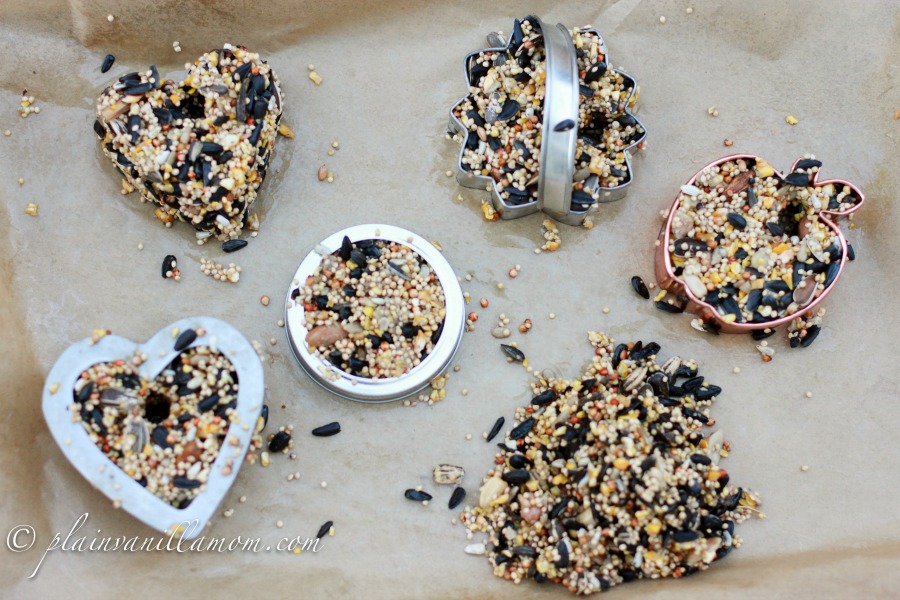 making bird seed feeders