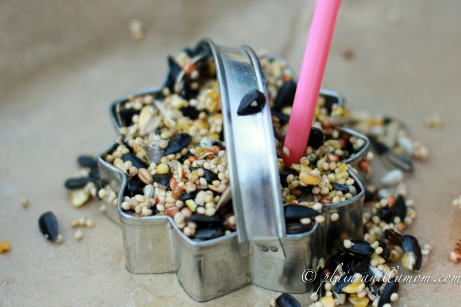 making bird seed feeders_2