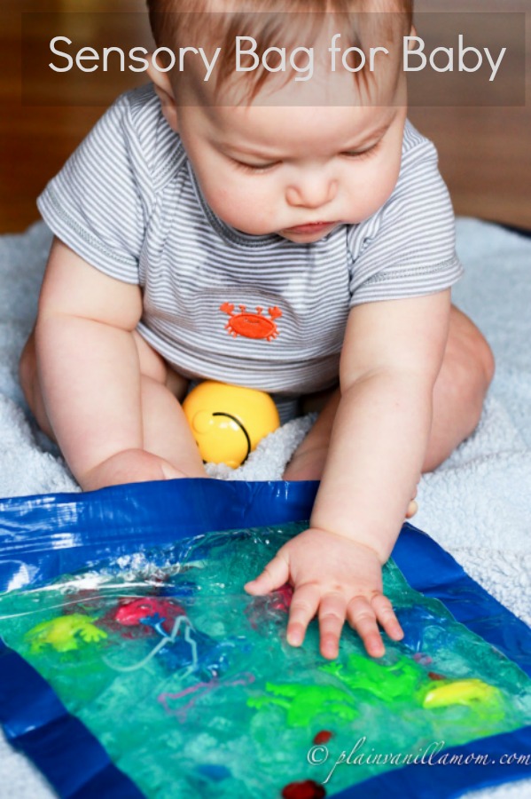Sensory Bag for Baby